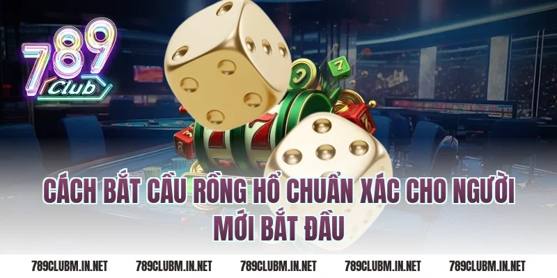 cách bắt cầu rồng hổ chuẩn xác cho người mới bắt đầu