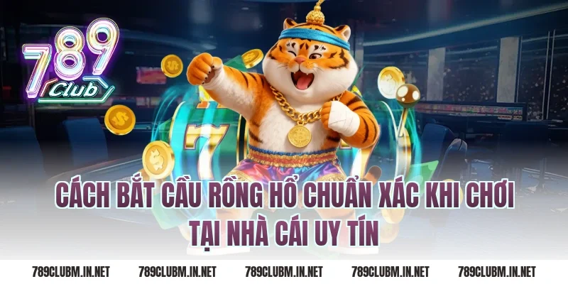 Cách bắt cầu rồng hổ chuẩn xác khi chơi tại nhà cái uy tín