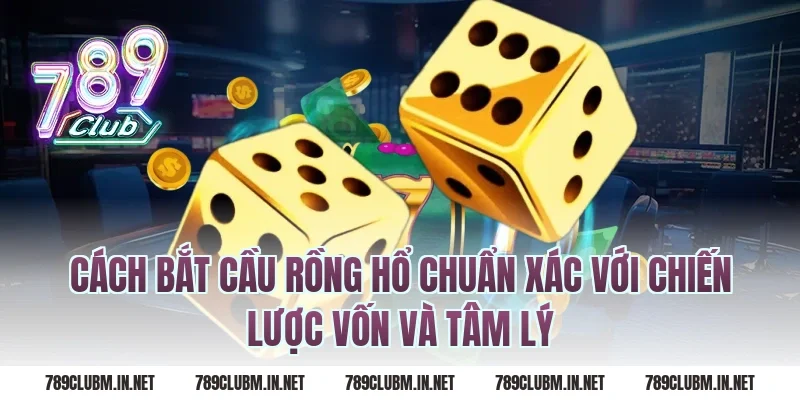 cách bắt cầu rồng hổ chuẩn xác với chiến lược vốn và tâm lý