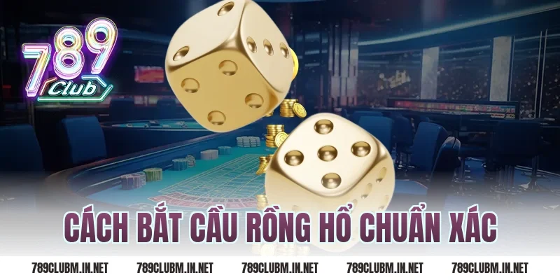 cách bắt cầu rồng hổ chuẩn xác