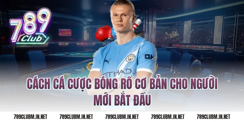 Cách cá cược bóng rổ cơ bản cho người mới bắt đầu