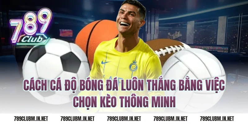 Cách cá độ bóng đá luôn thắng bằng việc chọn kèo thông minh