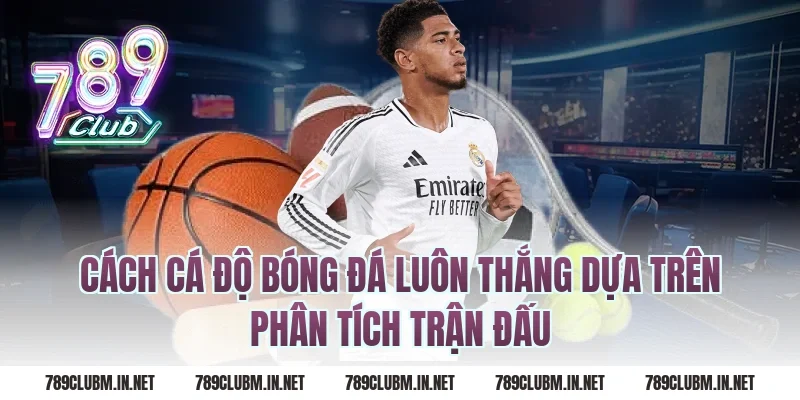 Cách cá độ bóng đá luôn thắng dựa trên phân tích trận đấu
