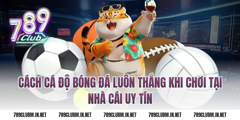 Cách cá độ bóng đá luôn thắng khi chơi tại nhà cái uy tín