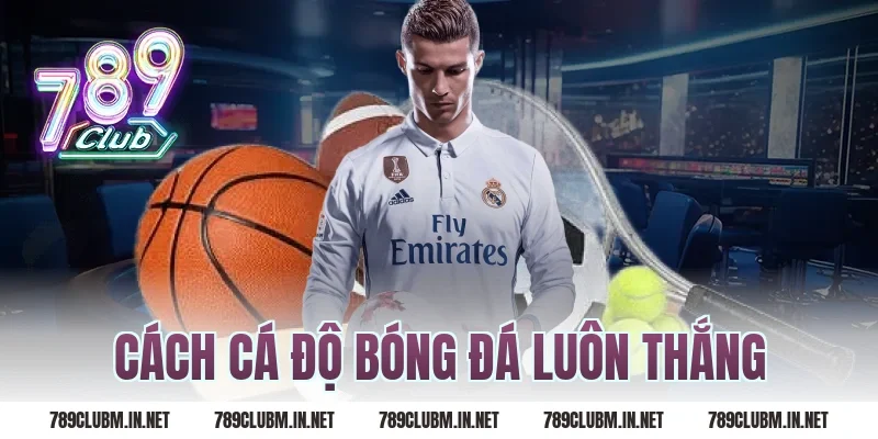 cách cá độ bóng đá luôn thắng