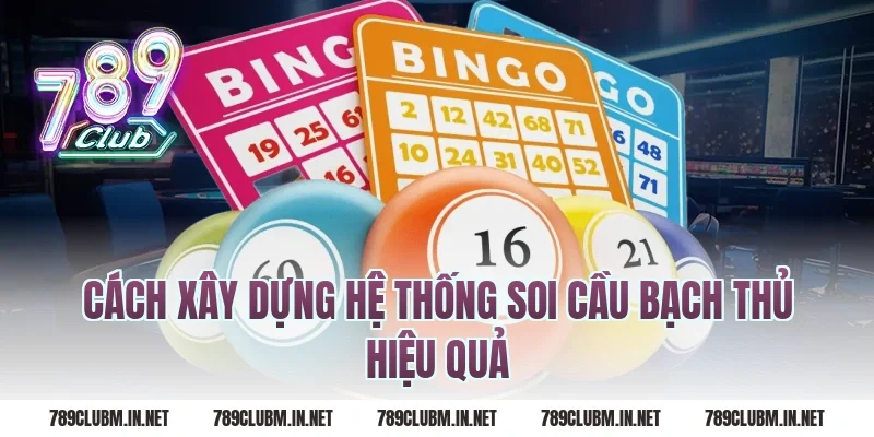 Cách Xây Dựng Hệ Thống Soi Cầu Bạch Thủ Hiệu Quả