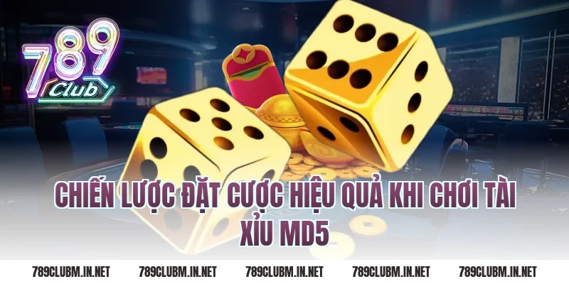 Chiến Lược Đặt Cược Hiệu Quả Khi Chơi Tài Xỉu MD5