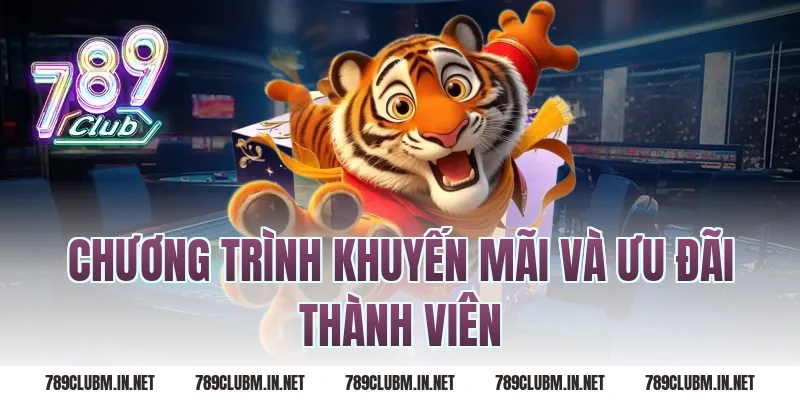 Chương Trình Khuyến Mãi Và Ưu Đãi Thành Viên