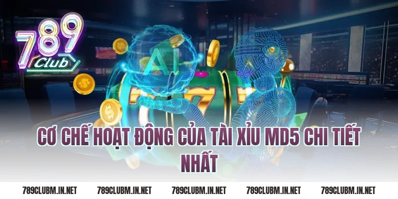 Cơ Chế Hoạt Động Của Tài Xỉu MD5 Chi Tiết Nhất