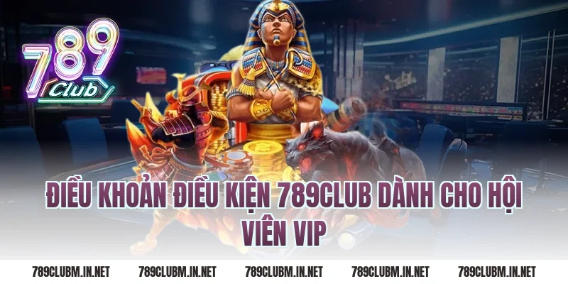 Điều Khoản Điều Kiện 789Club Dành Cho Hội Viên VIP