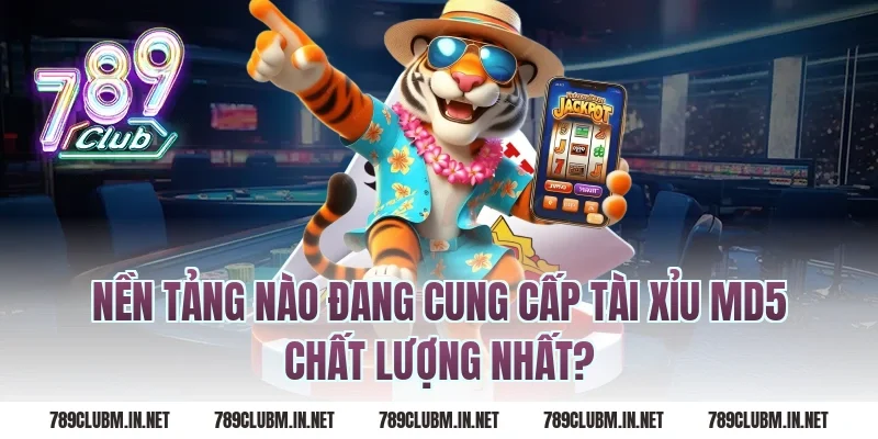 Nền Tảng Nào Đang Cung Cấp Tài Xỉu MD5 Chất Lượng Nhất?