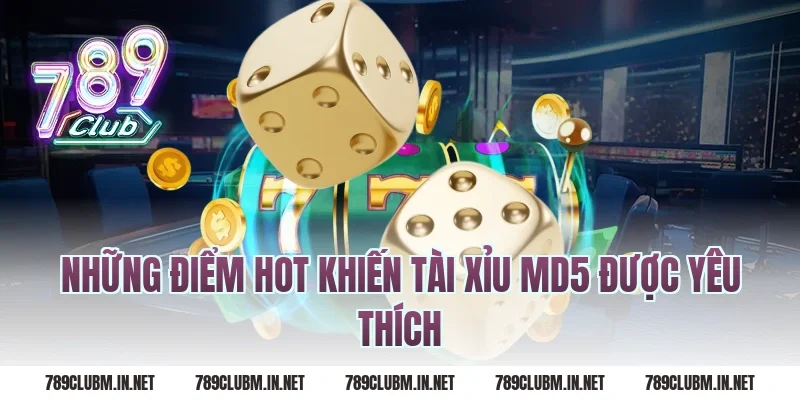 Những Điểm Hot Khiến Tài Xỉu MD5 Được Yêu Thích