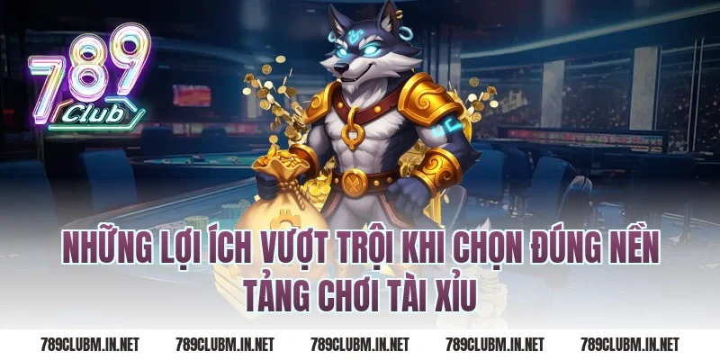 Những Lợi Ích Vượt Trội Khi Chọn Đúng Nền Tảng Chơi Tài Xỉu