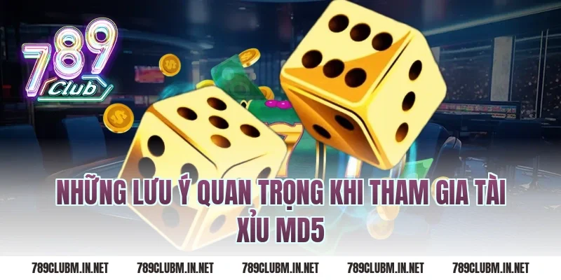 Những Lưu Ý Quan Trọng Khi Tham Gia Tài Xỉu MD5