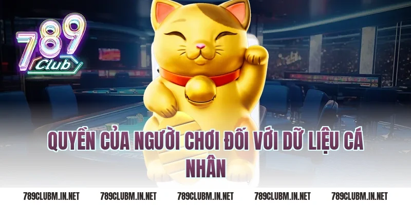 Quyền Của Người Chơi Đối Với Dữ Liệu Cá Nhân