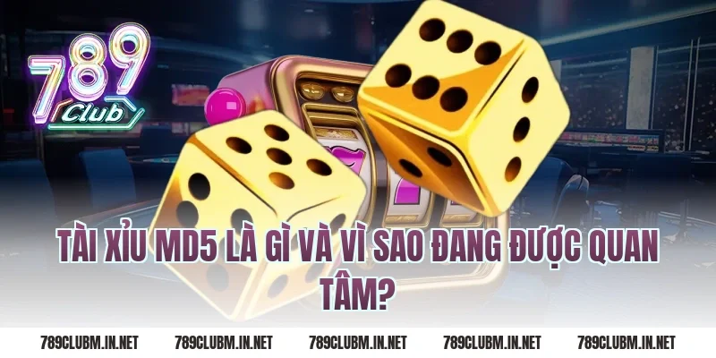 Tài Xỉu MD5 Là Gì Và Vì Sao Đang Được Quan Tâm?