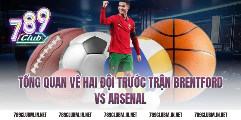 Tổng Quan Về Hai Đội Trước Trận Brentford Vs Arsenal